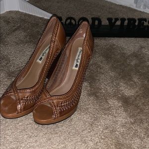 American Eagle Brown Hills